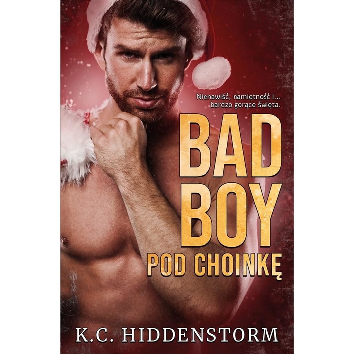 Bad Boy pod choinkę - K. C. Hiddenstorm