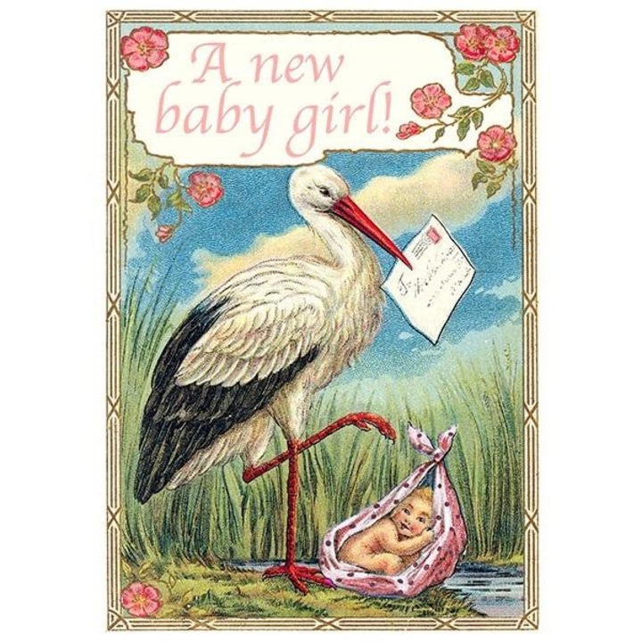 Felicitare, Madame Treacle, Hartie, Multicolor