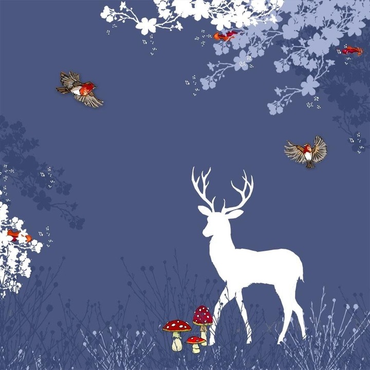 Card Swarovski patrat CL3407 cerb si pasari