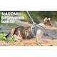 Macomi™ macskahám, ellazult helyzetben fájdalom és kényelmetlenség nélkül, póráz mellékelve, S méret, légáteresztő anyag, pikkelyes rögzítés, szürke