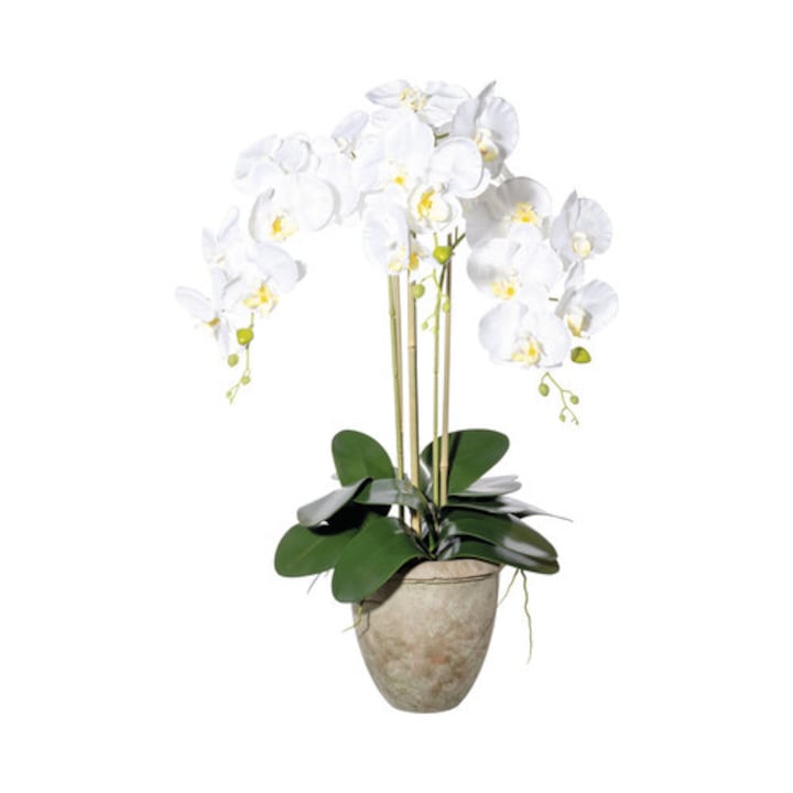 Planta Artificiala Orhidee Fluture Phalaenopsis In Vas H 75 Cm Alb