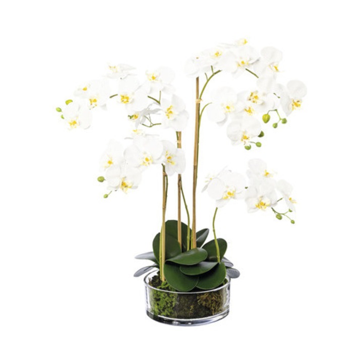 Planta Artificiala Orhidee Fluture Phalaenopsis In Vas H 50 Cm Alb