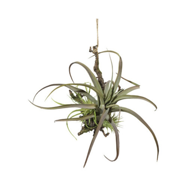 Planta Artificiala Tillandsia Suspendata H 27 Cm Verde