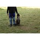 Recompense Pentru Caini, Happy Dog, Healthy Weight, 100 g