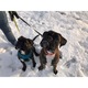 Recompense Pentru Caini, Happy Dog, Healthy Weight, 100 g