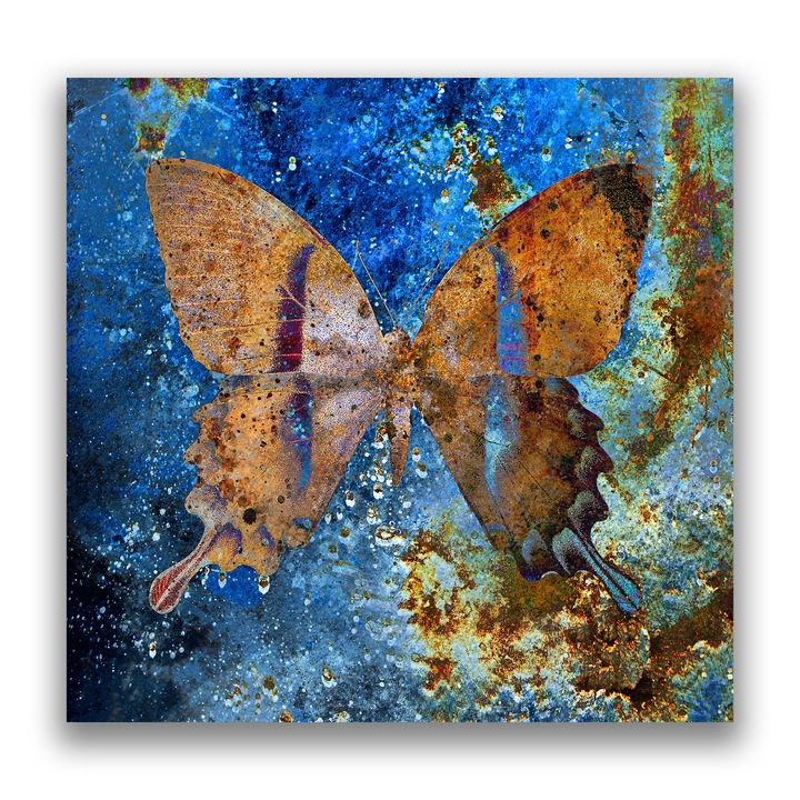 Първокласна картина на платно, LuxCanva® C1094, Космическа пеперуда, 90 X 90 CM, 100% памучно платно 400g/m2, Дървена рамка, Пеперуда, Космос, Звезди, Всекидневна, Спалня, Релаксация, Живи цветове