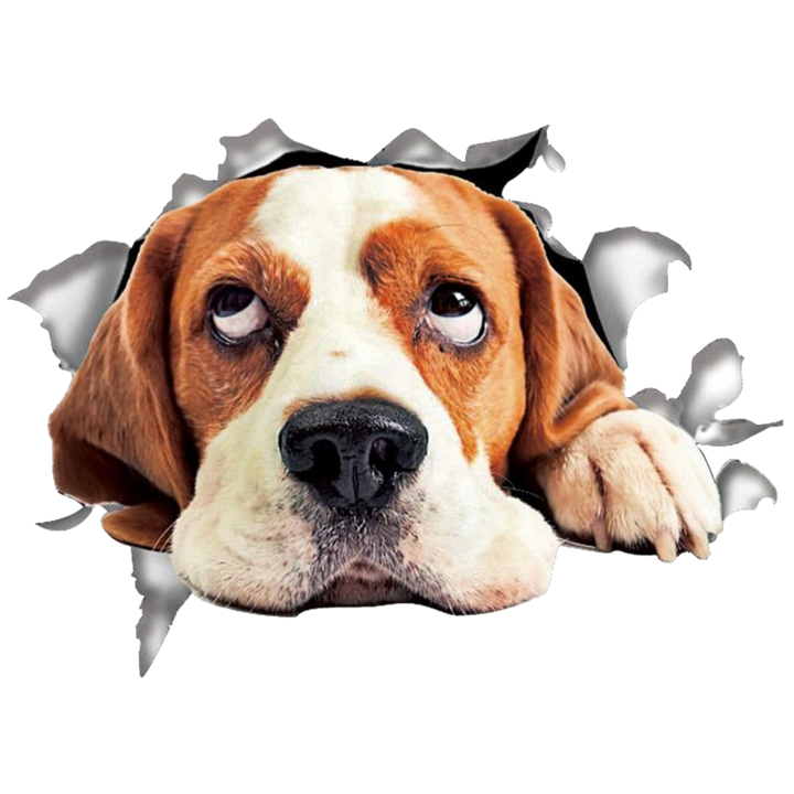 Sticker Decorativ Autoadeziv Ccmax, Caine Beagle, 170 x 230 mm