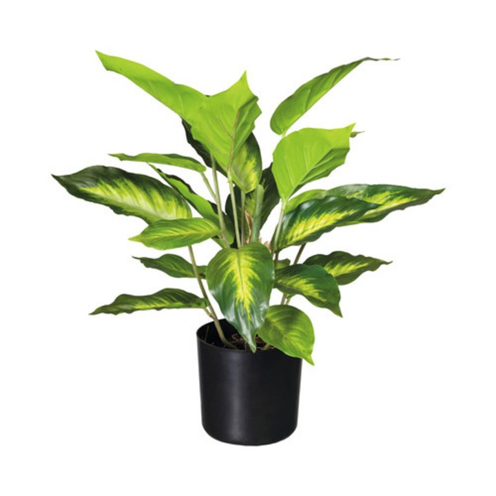 Planta Artificiala Dieffenbachia In Ghiveci H 45 Cm