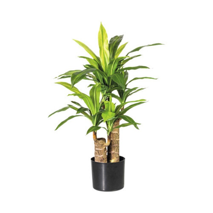 Planta Artificiala Dracena 2 Tulpini In Ghiveci H 80 Cm Verde