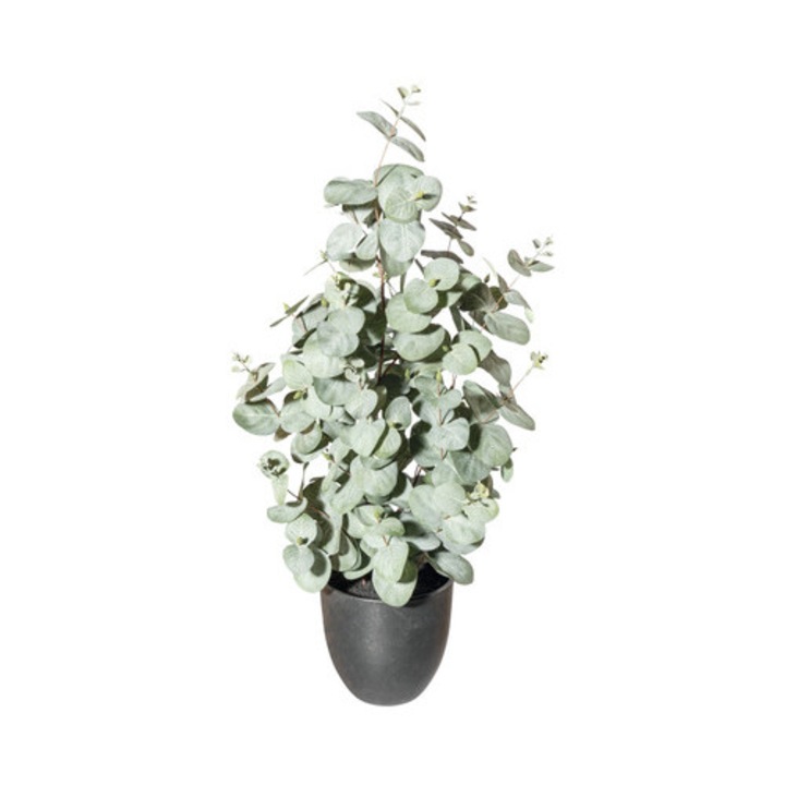 Planta Artificiala Eucalipt In Ghiveci H 60 Cm Verde