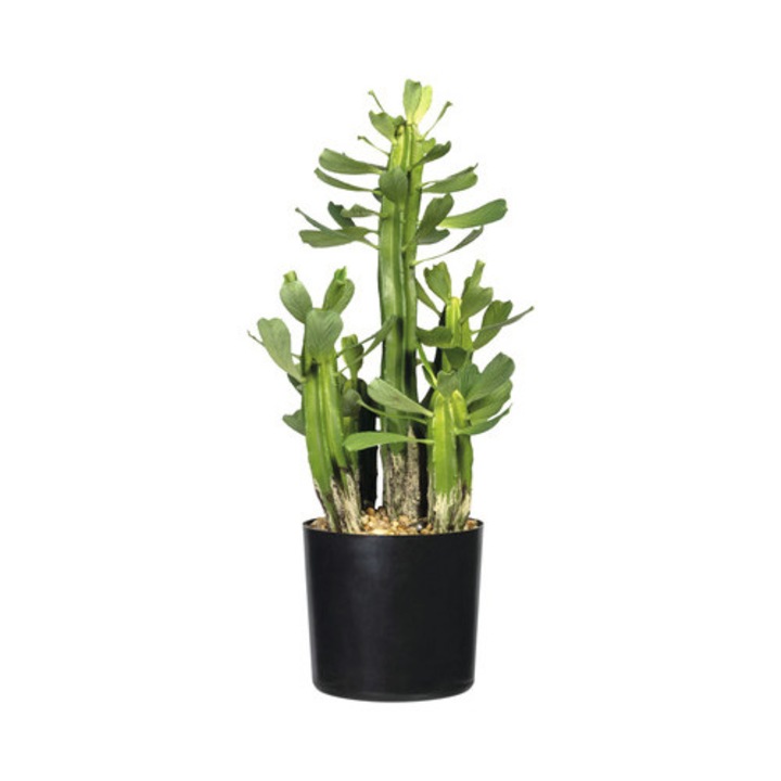 Planta Artificiala Euforbia In Ghiveci H 40 Cm Verde