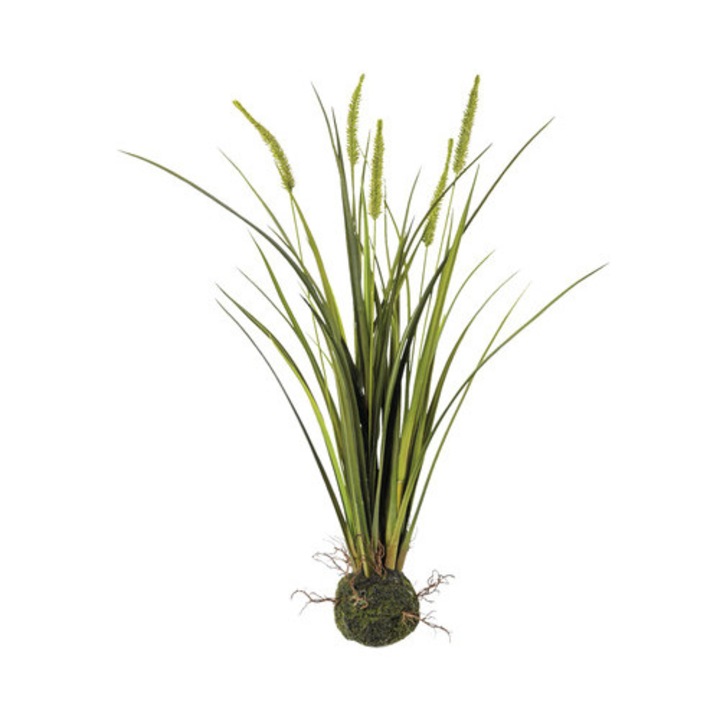 Planta Artificiala Iarba Miscanthus H 63 Cm Verde