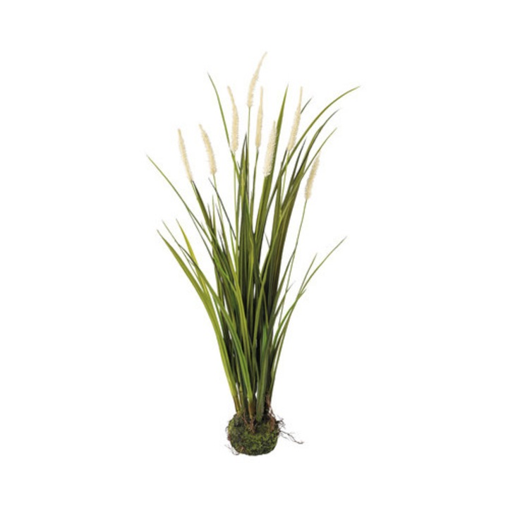 Planta Artificiala Iarba Miscanthus H 75 Cm Crem