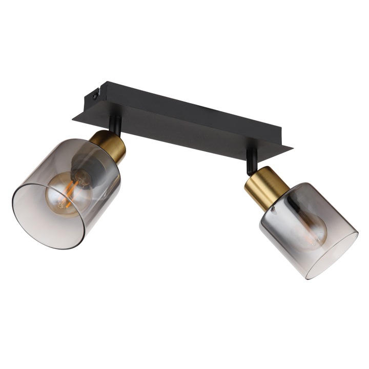 Globo Hollsy mennyezeti lámpa, fekete/arany, füstölt üveg, 2XE14