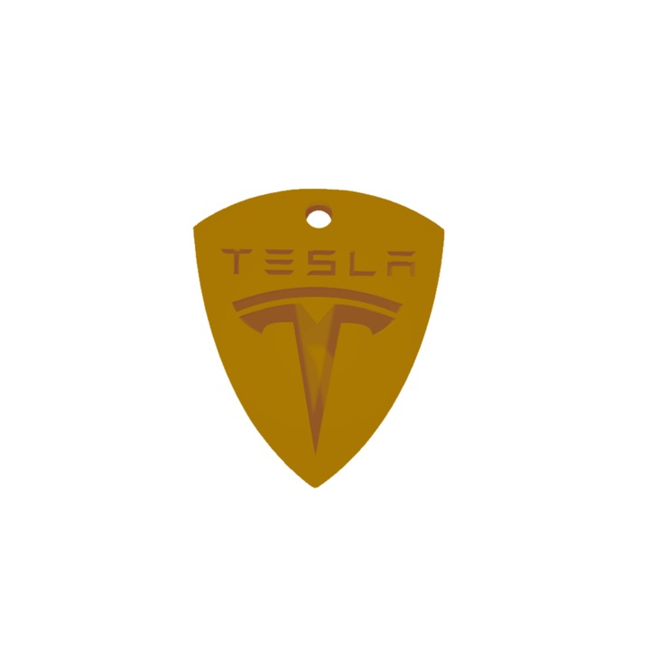 Breloc chei, "TESLA", auriu 60 X 50 mm