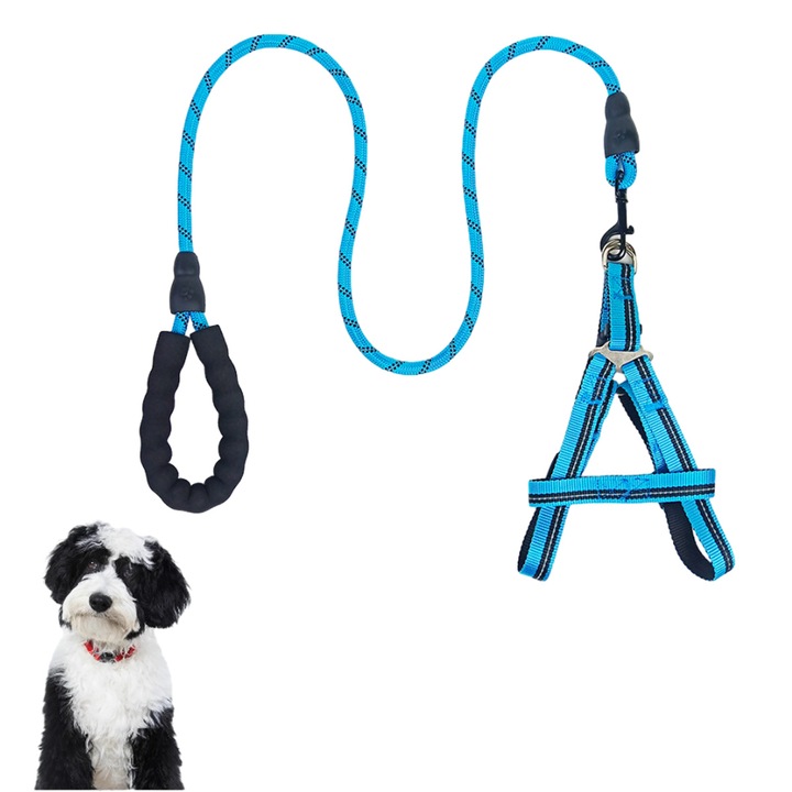 Ham de plimbare pentru caini, vesta reflectorizanta ajustabila, albastru, M, 30-40x42-65cm, lesa 1.2m