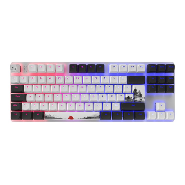 Tastatura gaming mecanica, Dark Project, 87 Fuji RGB TKL - G3MS Comutatoare Sapphire, iluminata, Negru/Alb