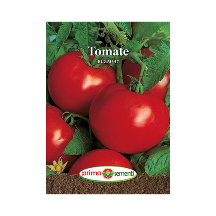 Tomate Buzau 47 - 0.3 g