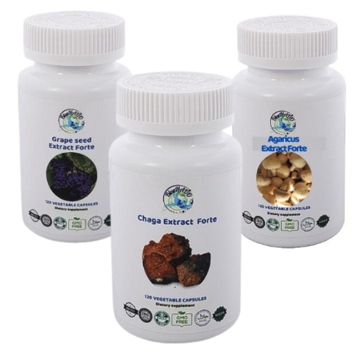 Supliment alimentar, Protocol Detox, Chaga, Agaricus si Extract de Seminte de Struguri,270g