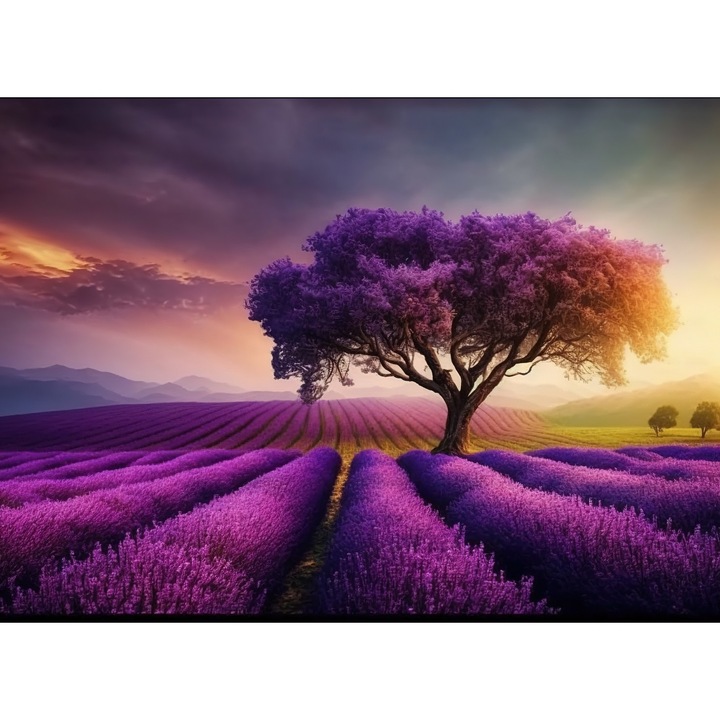 Комплект рисуване по номера - платно върху дървена рамка 40х50 см, GALAXIA PBN1073, 3 четки и акрилна боя