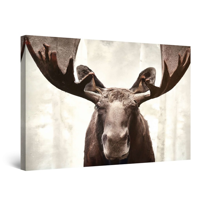 Tablou DualView Startonight Elan Maro, luminos in intuneric, 80 x 120 cm