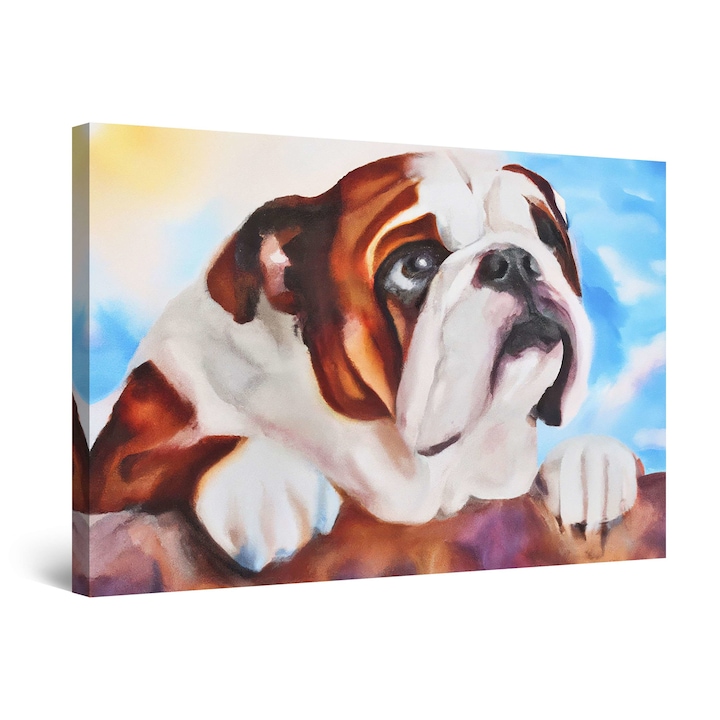 Tablou DualView Startonight Bulldog Dragalas, luminos in intuneric, 80 x 120 cm