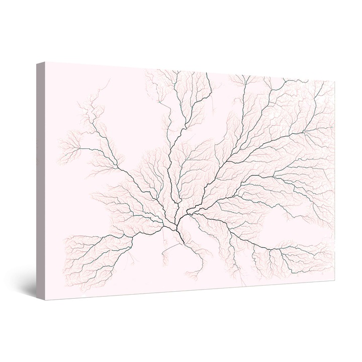 Tablou DualView Startonight Copac Harta Roz Drum catre Roma, luminos in intuneric, 60 x 90 cm