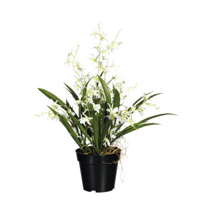 Planta Artificiala Oncidium Dancing Queen In Ghiveci H 60 Cm Alb
