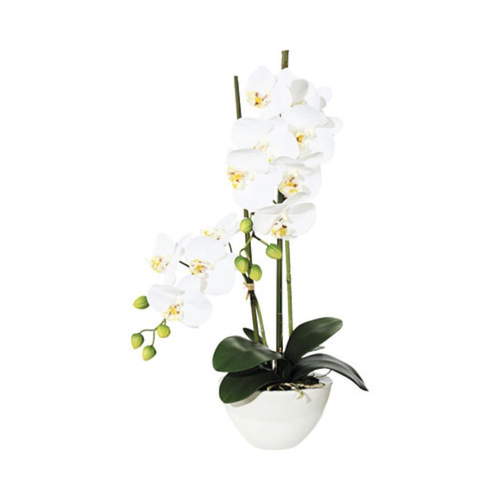 Planta Artificiala Orhidee Fluture Phalaenopsis In Ghiveci H 50 Cm Alb