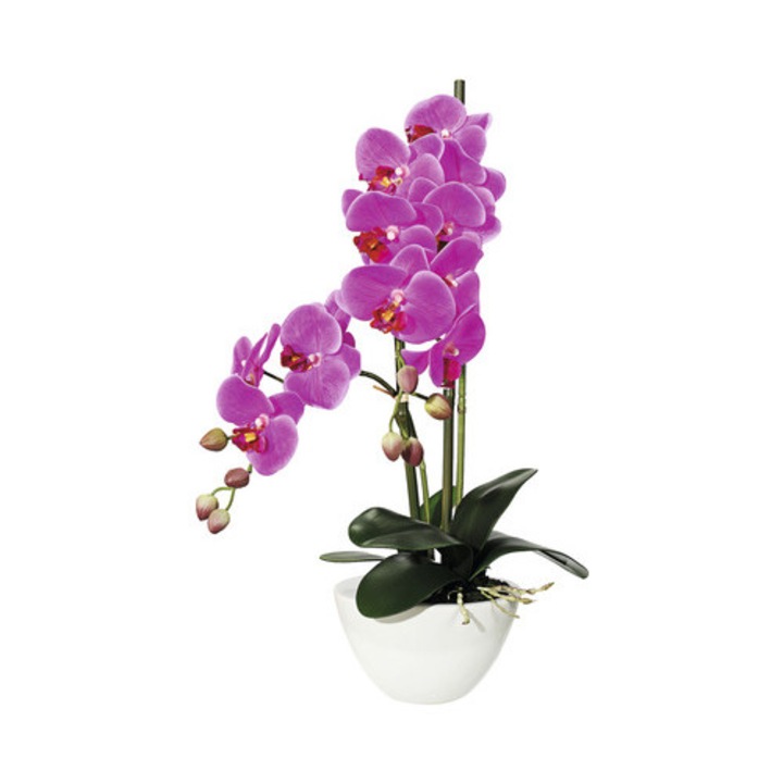 Planta Artificiala Orhidee Fluture Phalaenopsis In Ghiveci H 50 Cm Lila
