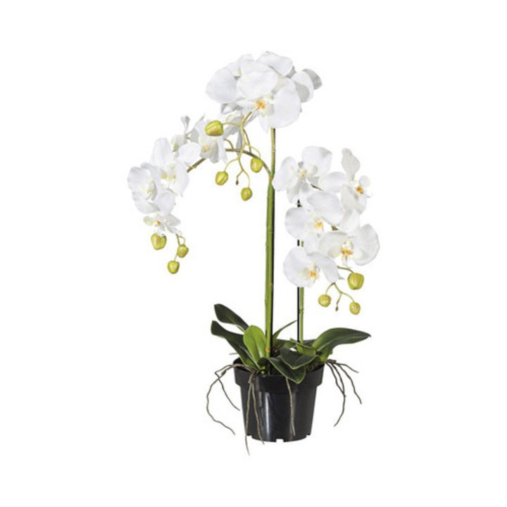 Planta Artificiala Orhidee Fluture Phalaenopsis In Ghiveci H 62 Cm Alb