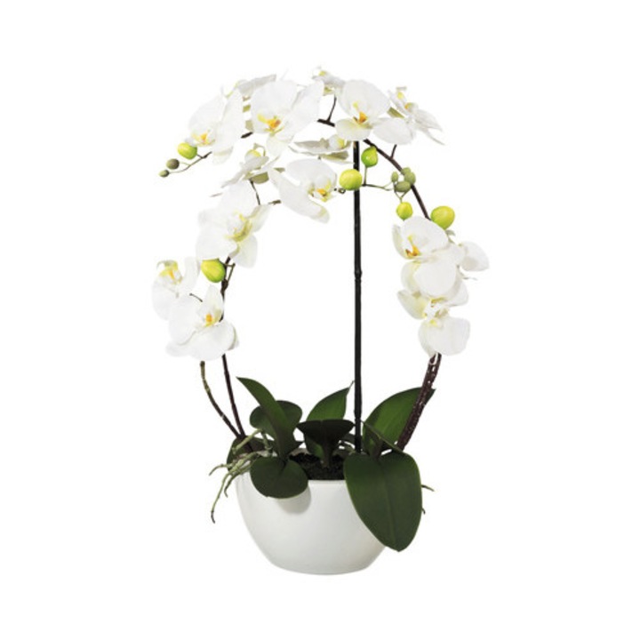 Planta Artificiala Orhidee Fluture Phalaenopsis In Vas Ceramic H 52 Cm Alb