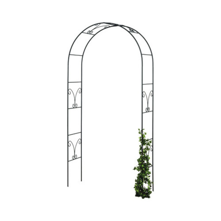 Arc Trandafiri Saphira, 38x130x240 Cm