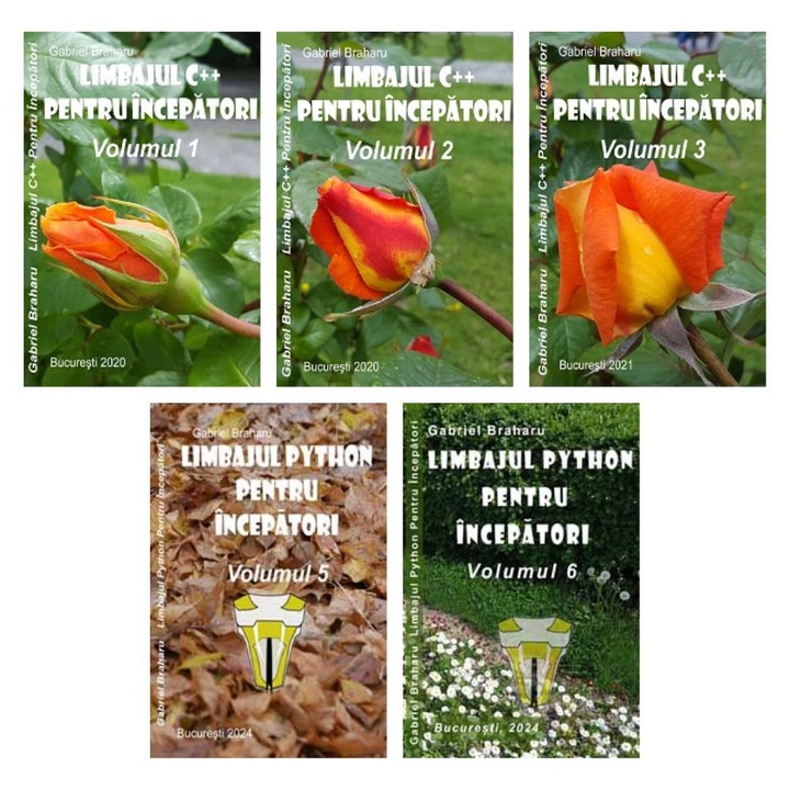 Set de 5 Carti Programare Incepatori (190), Gabriel Braharu, Colectia "Invata programare singur"