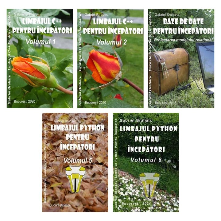 Set de 5 Carti Programare Incepatori (193), Gabriel Braharu, Colectia "Invata programare singur"