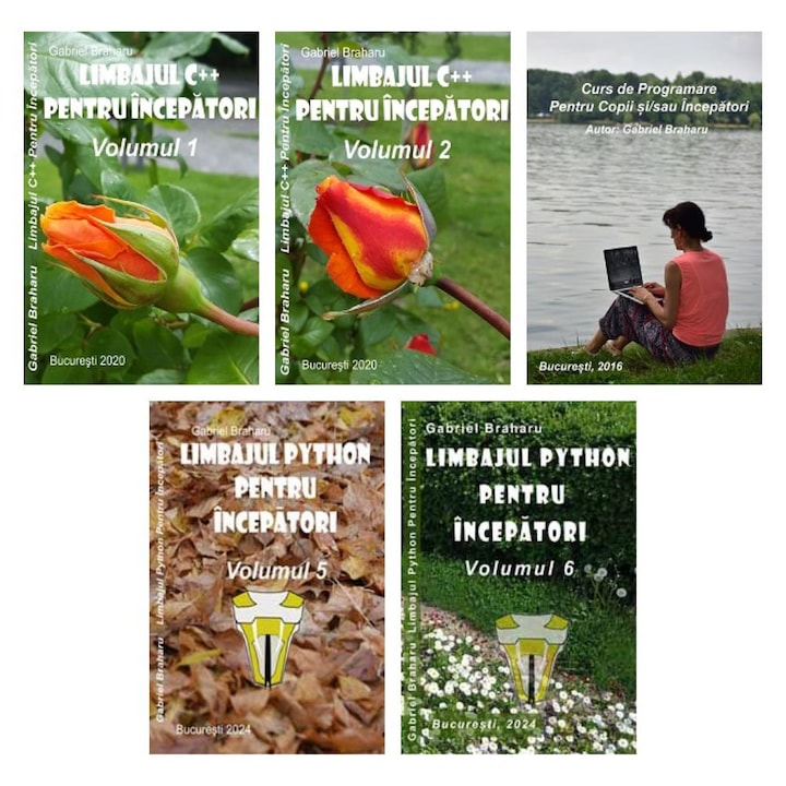 Set de 5 Carti Programare Incepatori (191), Gabriel Braharu, Colectia "Invata programare singur"