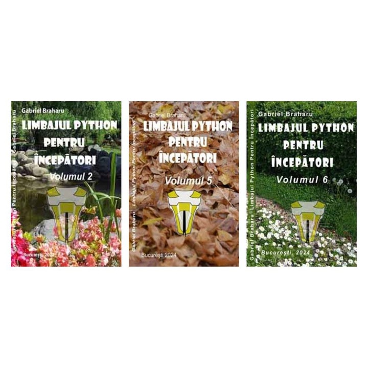 Set de 3 Carti Programare Incepatori (53), Gabriel Braharu, Colectia "Invata programare singur"
