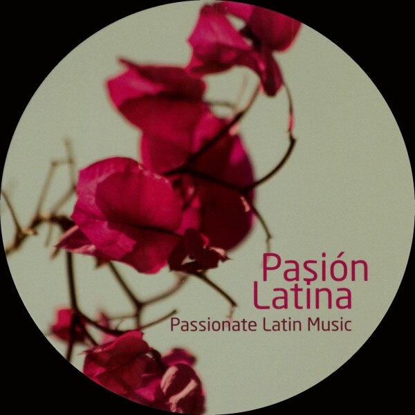 Gipsy Sabor - Pasion Latina (CD)