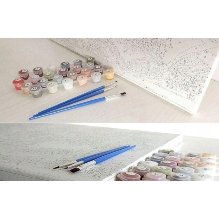 Set pictura cu numere Norimpex, 40x50cm, cu rama
