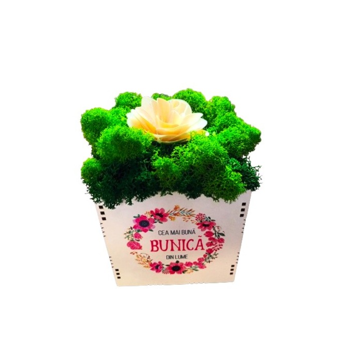 Aranjament cu licheni naturali stabilizati si begonie, in cutie de lemn, cea mai buna bunica, 10x10 cm, verde
