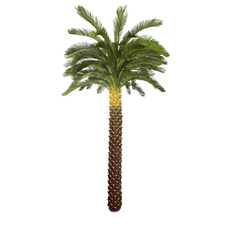 Copac artificial, Palmier Phoenix fara ghiveci, Naimeed D5650, 240x135 cm, Verde