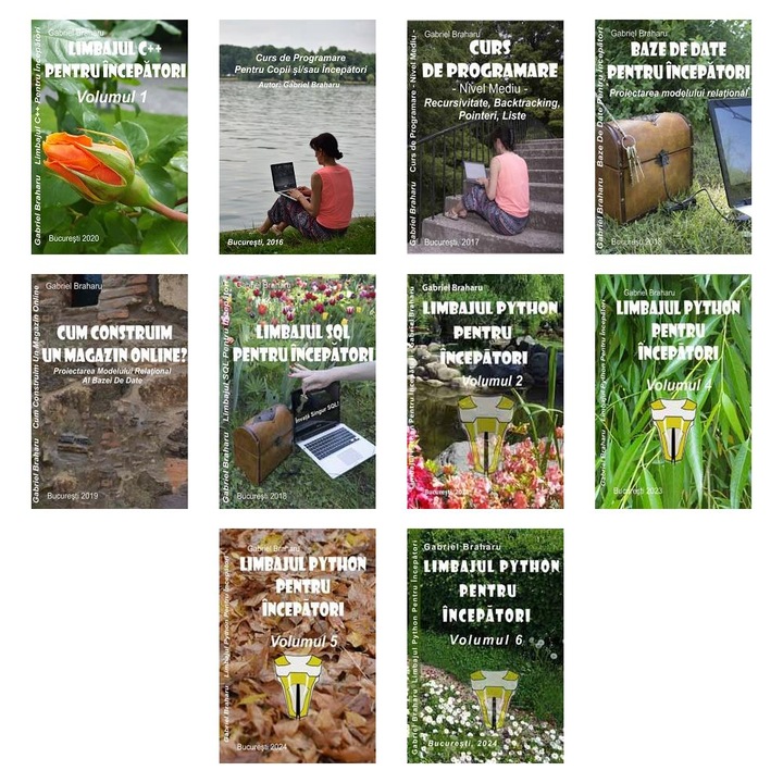Set de 10 Carti Programare Incepatori (477), Gabriel Braharu, Colectia "Invata programare singur"