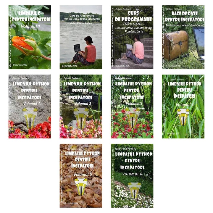 Set de 10 Carti Programare Incepatori (494), Gabriel Braharu, Colectia "Invata programare singur"