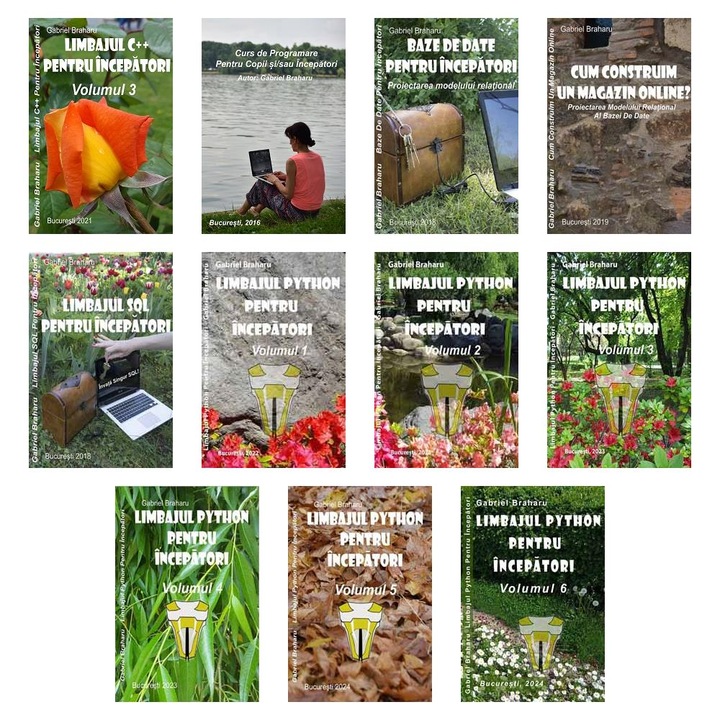 Set de 11 Carti Programare Incepatori (885), Gabriel Braharu, Colectia "Invata programare singur", 11 bucati