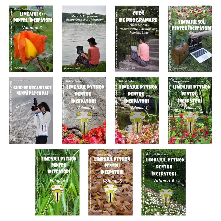 Set de 10+1 Carti Programare Incepatori (880), Gabriel Braharu, Colectia "Invata programare singur", 11 bucati
