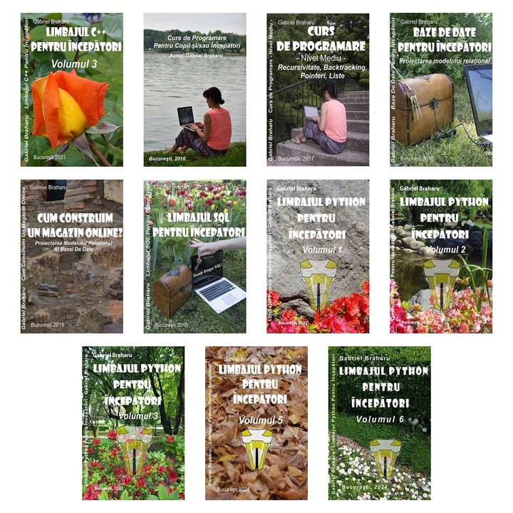 Set de 11 Carti Programare Incepatori (865), Gabriel Braharu, Colectia "Invata programare singur", 11 bucati