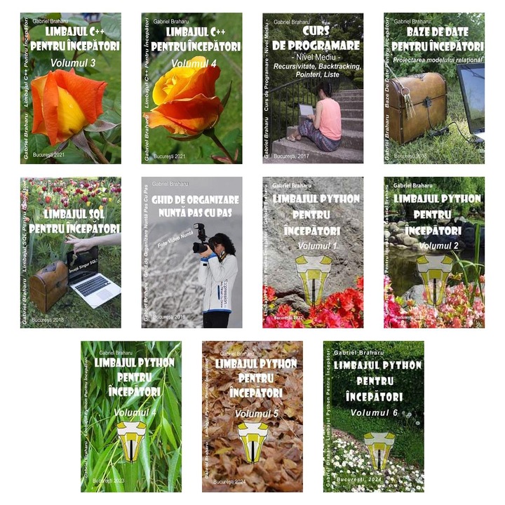 Set de 10+1 Carti Programare Incepatori (846), Gabriel Braharu, Colectia "Invata programare singur", 11 bucati