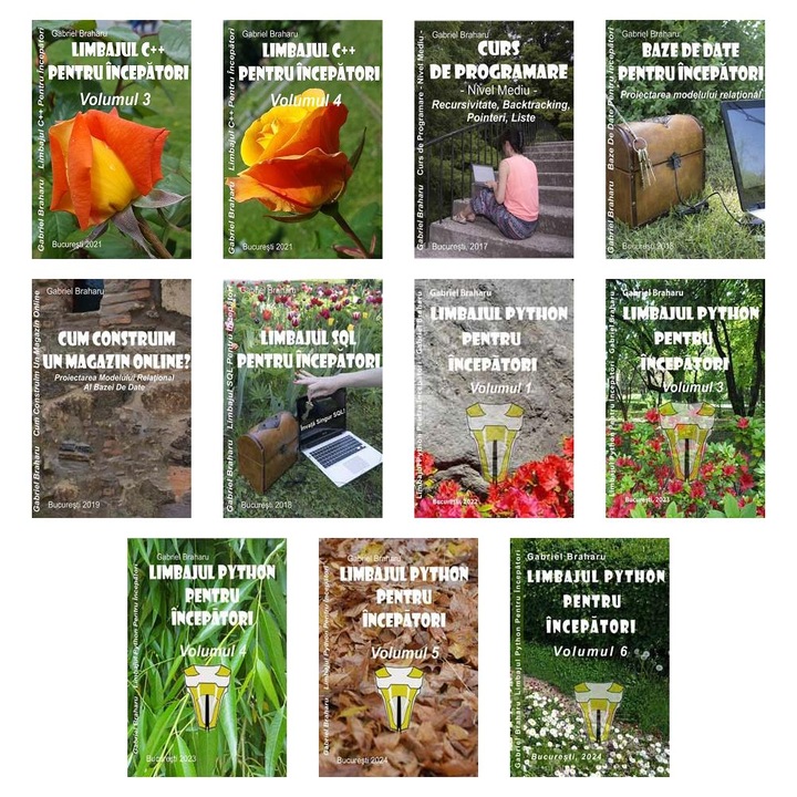 Set de 11 Carti Programare Incepatori (838), Gabriel Braharu, Colectia "Invata programare singur", 11 bucati