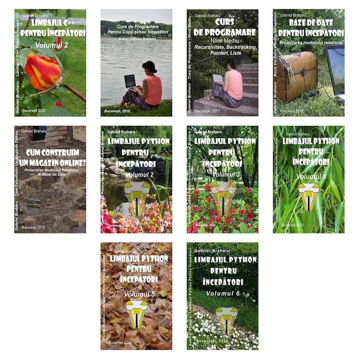 Set de 10 Carti Programare Incepatori (638), Gabriel Braharu, Colectia "Invata programare singur"