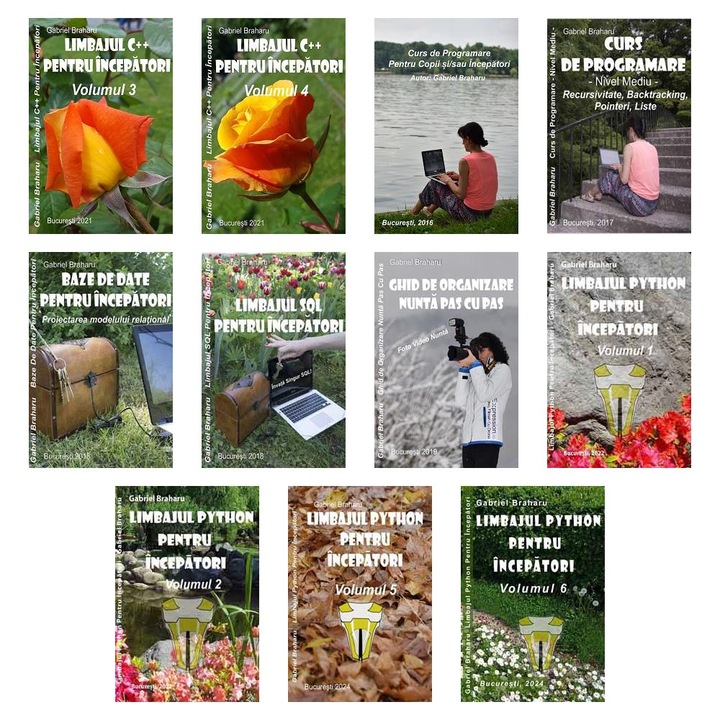 Set de 10+1 Carti Programare Incepatori (787), Gabriel Braharu, Colectia "Invata programare singur"